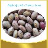 Light Speckled kidney beans(round shape)