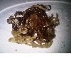 tambalang seaweed, Eucheuma alvarezii var. tambalang Doty