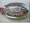 Frozen Black Tilapia Fish Whole Round (Oreochromis Niloticus, Oreochromis Mossambicus)