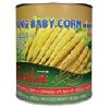 Canned Baby Corn in Brine