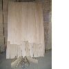 paulownia jointed boards