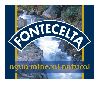 FONTECELTA