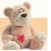 Plush Teddy bear with red star