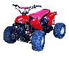 PANTHER 125/150 ATV