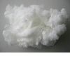 PLA (Corn) Staple Fiber    