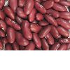 Dark Red Kidney Beans