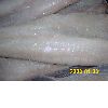 aquatic/ sea fish products