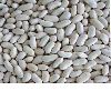 dry edible white beans Chinese latest crop