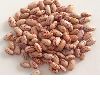 Dry speckled kidney beans, red, Purple, Light