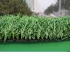 artificial turf